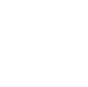Ico 4